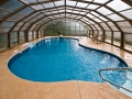 Free form pool with steps, hand rail, diving board, buddy seat, concrete decking with glass pool enclosure